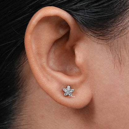 Round Cut Lab Grown Diamon Star Shape Dainty Stud Earrings