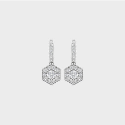 Natural Round Hexagon Shape Drop Earrings