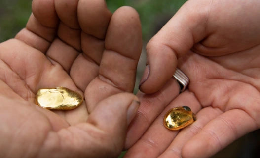 Sustainability image